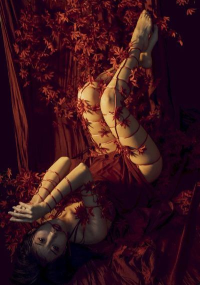 黑寡妇欧美日韩不卡一区_BD英语在线视频播放